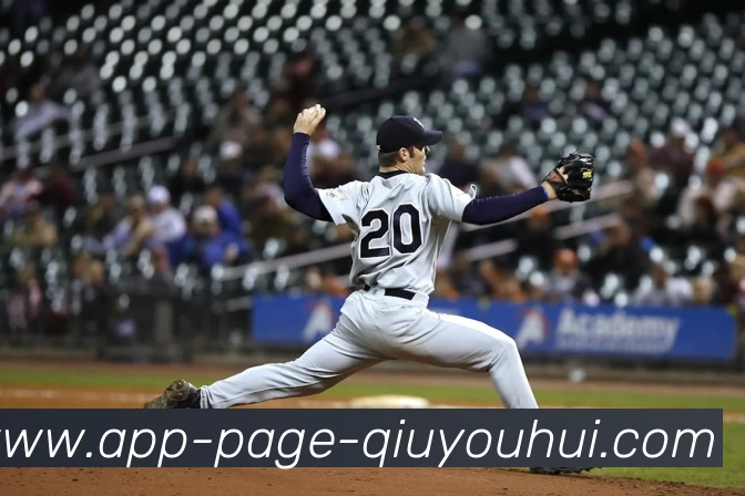 球友会app平台生态图